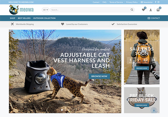 e-commerce cat store